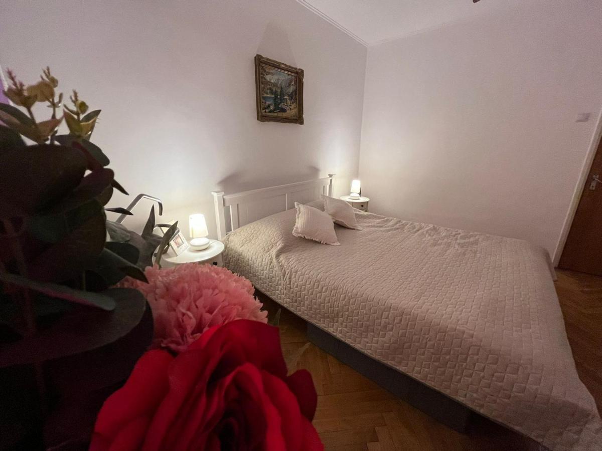 Lala'S Sweet Nest Apartment Călimăneşti Екстериор снимка
